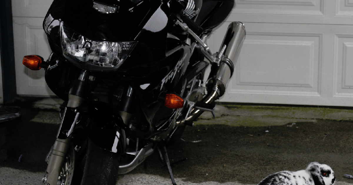 Combining different database technologies