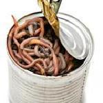 CURSORs and WHILE-Loops