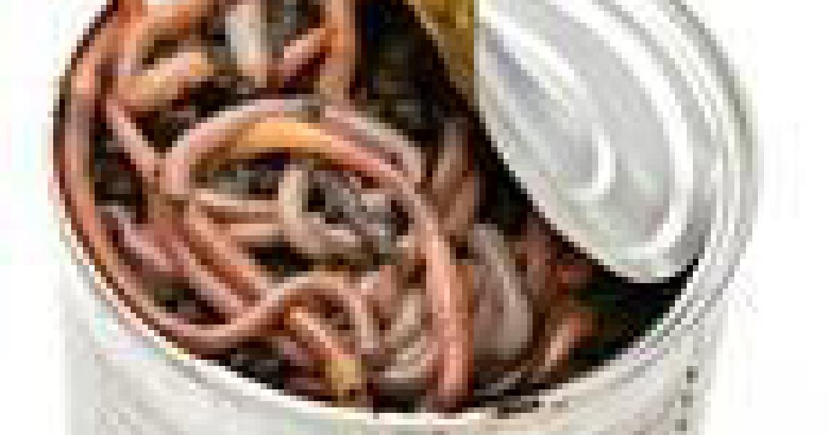 CURSORs and WHILE-Loops