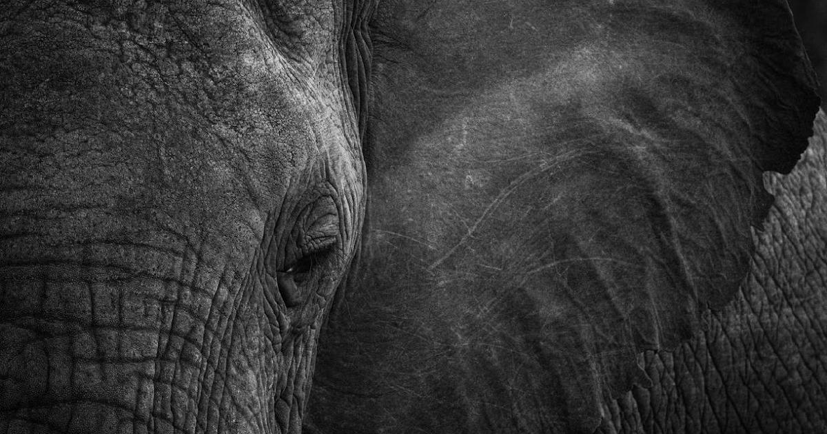 Here's My AI Context System