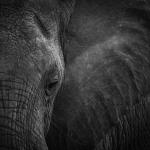 Here's My AI Context System