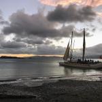 Teach the AI to Fish