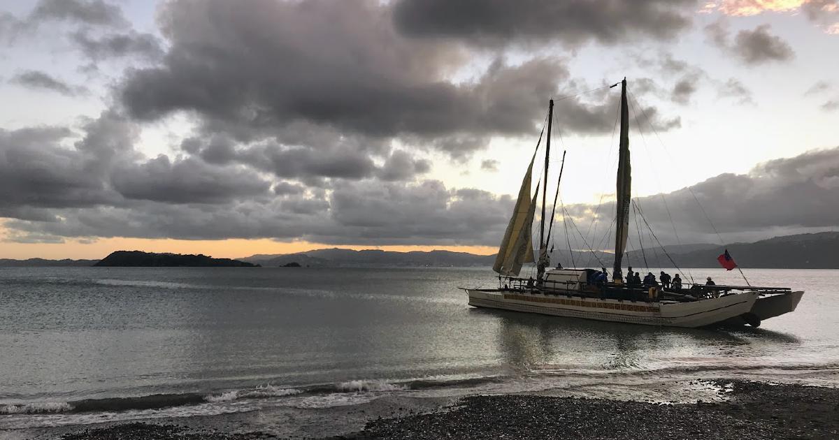 Teach the AI to Fish