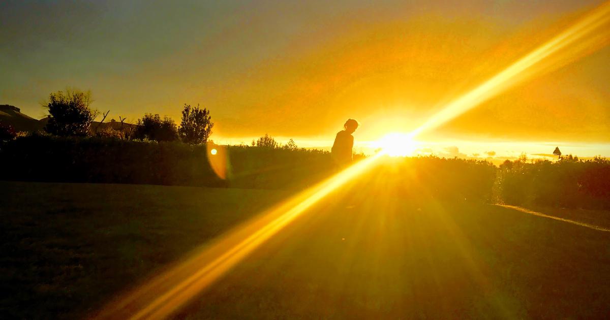 Your Theory is the Gold, not your Code.