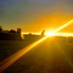 Your Theory is the Gold, not your Code.